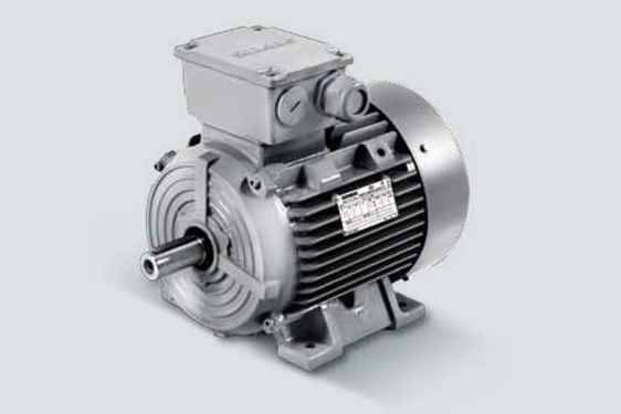 1LE0003系列超高效低壓三相異步電動(dòng)機(jī)