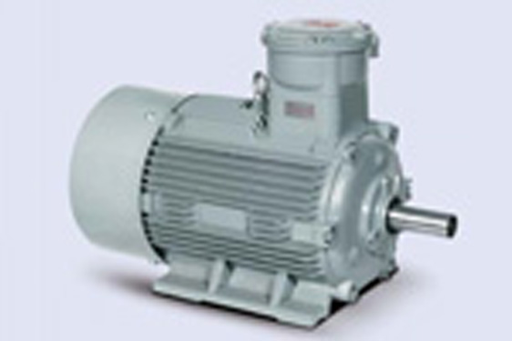 1MT0001 系列高效隔爆型三相異步電動(dòng)機(jī)